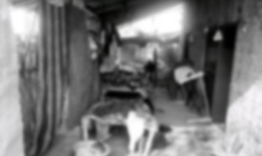 प्रयागराज मे डबल मर्डर