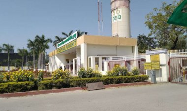 आधी रात फूलपुर के इफको प्लांट में फैली अमोनिया गैस, दो अधिकारियों की मौत, 12 अस्पताल में भर्ती