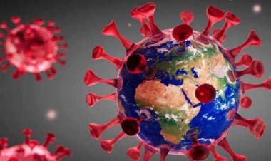 यूपी में 24 घंटे में कोरोना के 'रिकॉर्ड' संक्रमित