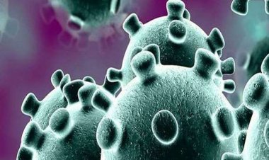 प्रयागराज में 2122 कोरोना संक्रमण के नए मामलें, 13 मौत