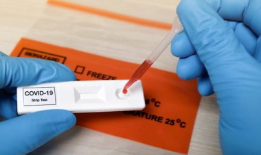 18 साल से अधिक उम्र के लोगों को कब से लगेगी वैक्सीन, देखिए रिपोर्ट