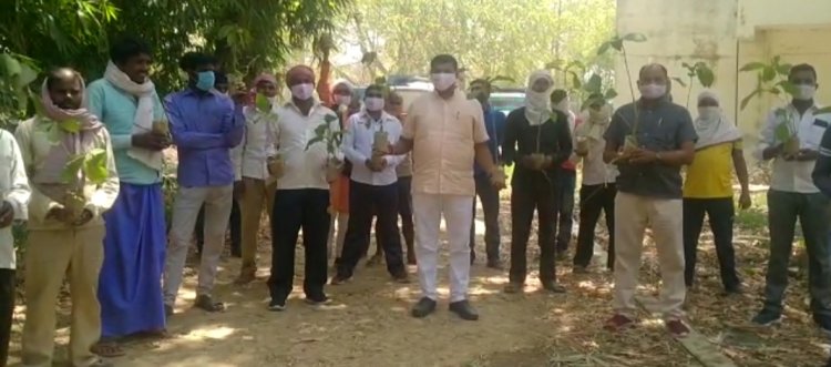 शुद्ध हवा के लिए पेड़ देकर उम्मीदवार जनता से मांग रहे वोट