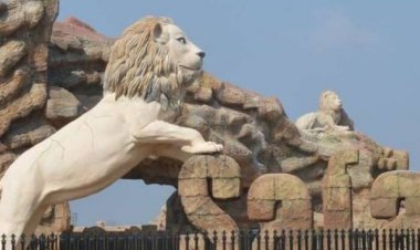 इंसानों के बाद जानवरों पर कोरोना का हमला