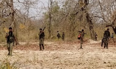 गढ़चिरौली में नक्सलियों पर 'प्रहार', 13 मारे गए