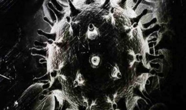 'ब्लैक फंगस' की रोकथाम के लिए 3 अहम बातें