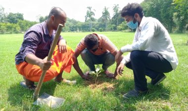 पर्यावरण दिवस पर NSUI ने लगाए 100 पेड़