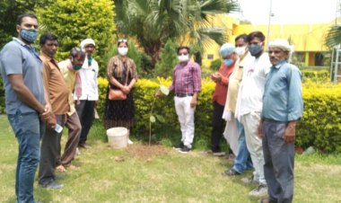 पर्यावरण दिवस पर 'ग्रीन इंडिया फाउंडेशन ट्रस्ट व उम्मीद' की पहल