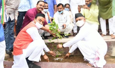वृक्ष हमारे देश की आर्थिक, सामाजिक व धार्मिक समृद्धि के आधारः उपमुख्यमंत्री