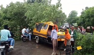 फतेहपुर: चलती गाड़ी में गिरा पेड़, लेखपाल सहित आधा दर्जन घायल