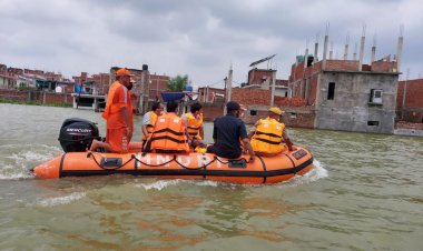 प्रयागराज: जिलाधिकारी ने बाढ़ प्रभावित क्षेत्रों का नाव से भ्रमण कर लिया जायजा