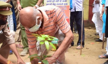 लोक सेवा आयोग में मानसून महोत्सव पर 1500 पौध रोपित