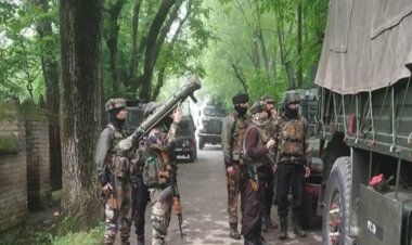 त्राल मुठभेड़ में जैश-ए-मोहम्मद के तीन आतंकी ढेर, हथियार व गोलाबारूद बरामद