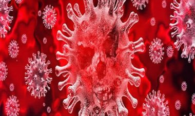 UP में 300 से कम हुए सक्रिय केस, बीते 24 घंटों में आए 14 नए मामले