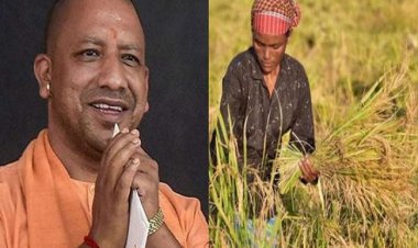 योगी सरकार ने बढ़ाया धान का समर्थन मूल्य, कैबिनेट ने भी दी हरी झंडी