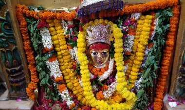 शारदीय नवरात्र के दूसरे दिन विंध्यधाम में दो लाख भक्तों ने नवाया शीश