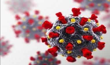 UP के 71 जिलों में नहीं मिले नए मरीज, 42 जिले कोरोना मुक्त