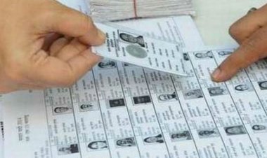 लापरवाह 14 सुपरवाइजर सहित 08 बीएलओ को निलम्बित करने की संस्तुति