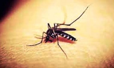 कानपुर में जीका वायरस संक्रमण का बढ़ रहा प्रकोप, आंकड़ा पहुंचा 105