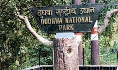 पर्यटकों के लिए 15 नवम्बर से खुल जाएंगे दुधवा सहित प्रदेश के सभी पर्यटन स्थल