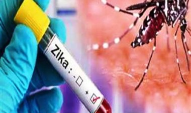 कानपुर में जीका वायरस संक्रमण का बढ़ रहा ग्राफ, 13 और मिले मरीज