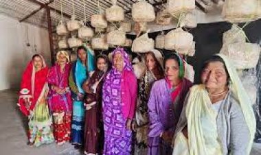 उप्र में मशरूम की खेती कर महिलाएं बन रहीं सशक्त