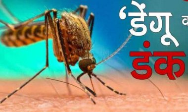 डेंगू पर लगाम लगाने के लिए प्रदेश में हो रही डोर-टू डोर स्क्रीनिंग