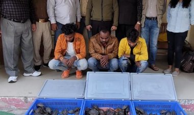 लखनऊ : 260 प्रतिबंधित प्रजाति के कछुओं संग तीन गिरफ्तार
