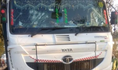 प्रयागराज में ट्रक से कुचलकर दो दर्जन भेड़ों की गई जान