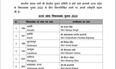 भाजपा ने जारी की 45 उम्मीदवरों की सूची, स्वाति सिंह के पति दयाशंकर सिंह को बलिया से मिला टिकट