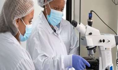 छह अफ्रीकी देशों को डब्ल्यूएचओ से मिलेगी कोविड वैक्सीन तकनीक