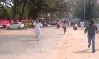 चंदौली: मधुमक्खियों के हमले से मतदान केंद्र छोड़कर भागे कर्मी