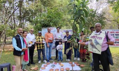 विश्व गौरैया दिवस : आपके आंगन में भी चहकेगी नन्ही सी चिड़िया, करिए थोड़ा प्रयास