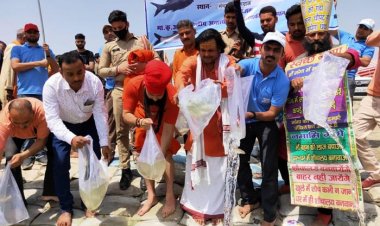 प्रयागराज सिफरी ने हजारों मछलियों को गंगा में रैंचिंग कर छोड़ा