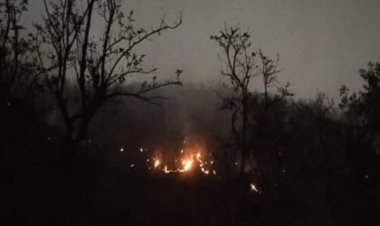 वायुसेना के दो हेलीकॉप्टर सरिस्का पहुंचे आग बुझाने