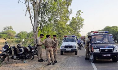 बेकाबू डंपर पेड़ से टकराकर खाई में गिरा, चालक और खलासी की मौत