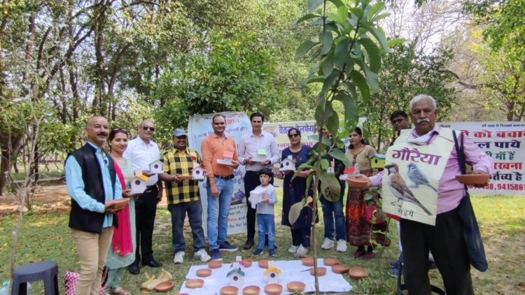 विश्व गौरैया दिवस : आपके आंगन में भी चहकेगी नन्ही सी चिड़िया, करिए थोड़ा प्रयास
