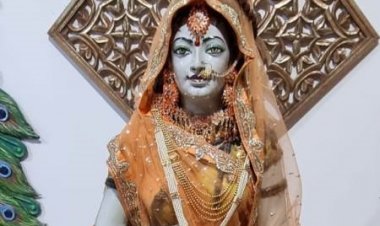 कहीं देवी को प्रकृति स्वरूप में तो कहीं मयूर पर कराए गए दर्शन