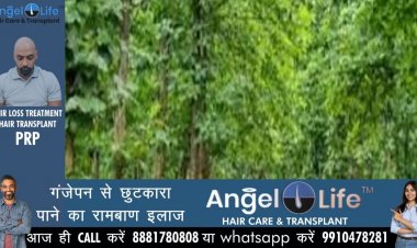 उत्तर प्रदेश के 13 शहरों में बनाये जायेंगे नेचुरल पिकनिक स्पॉट