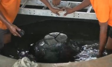 ज्ञानवापी परिसर के सर्वे रिपोर्ट का वीडियो लीक, प्रतिवादी पक्ष नाराज