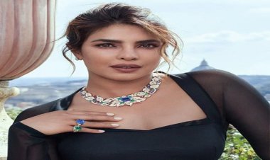 प्रियंका चोपड़ा ने शेयर किया अमेरिका में प्रवासी होने का अनुभव