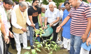 मुख्य सचिव की अपील, सभी नागरिक अपनी-अपनी कॉलोनी में करें वृक्षारोपण