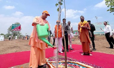 यूपी में पौध रोपण का बना रिकार्ड, एक दिन में लगाये गये 25 करोड़ पौधे