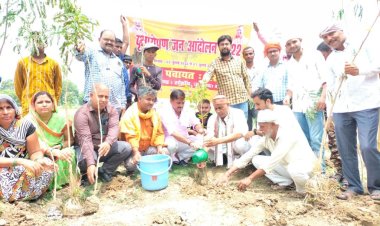 उप्र : लक्ष्य से ज्यादा हुआ पौधरोपण, बेसिक शिक्षा विभाग ने चार गुना ज्यादा रोपे पौधे