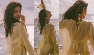 पूजा हेगड़े की हॉट-हॉट बिकनी पिक्चर्स ने चढ़ाया सोशल मीडिया का पारा, फैंस ने थामे दिल