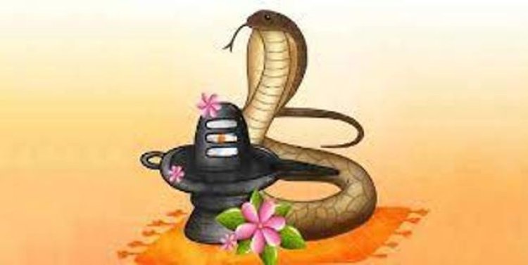 नाग देवता की पूजा को मंदिरों में उमड़ी शिव भक्तों की भीड़