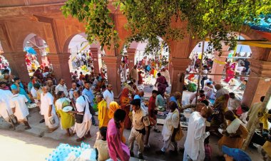 मोक्षभूमि में उमड़ा आस्था का सैलाब, पितृपक्ष में शुरू हुआ पिंडदान,फल्गु में पानी देख तीर्थयात्री आह्लादित