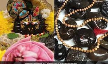 देवोत्थान एकादशी पर पूजे गए भगवान विष्णु और तुलसी