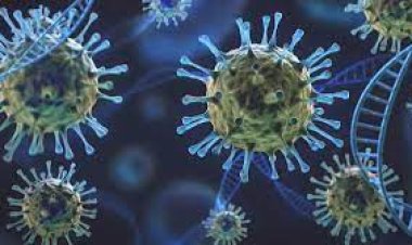 देश में आए कोरोना वायरस के 226 नए मामले