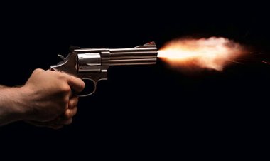 अमेरिका में नए साल के तीन दिन, गोलीबारी में 131 लोगों की मौत