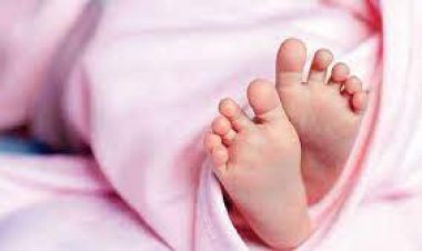 बांदा: दो माह के मासूम को उत्पाती बंदर ने छत से नीचे फेंका, मौत